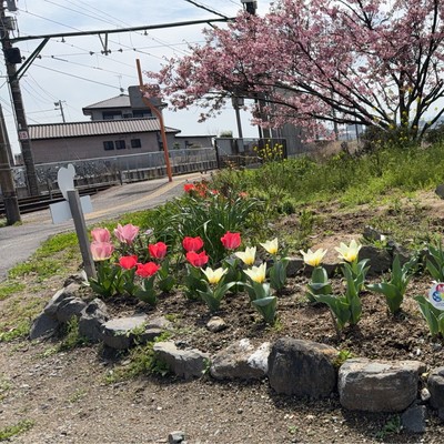 G・Ⅱ・A・Garden