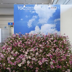 TGC 北九州 2024