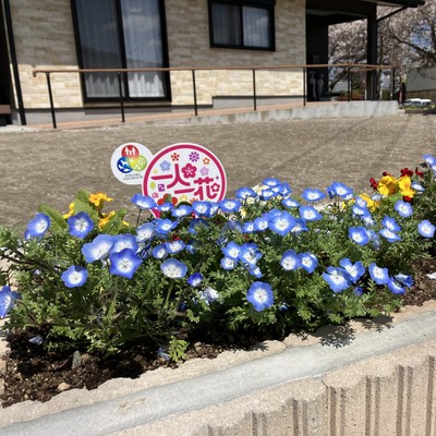 おかえり花壇