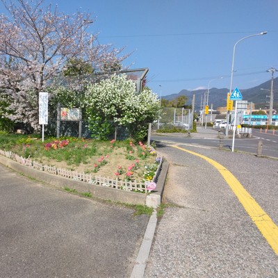 頓野やまももの会