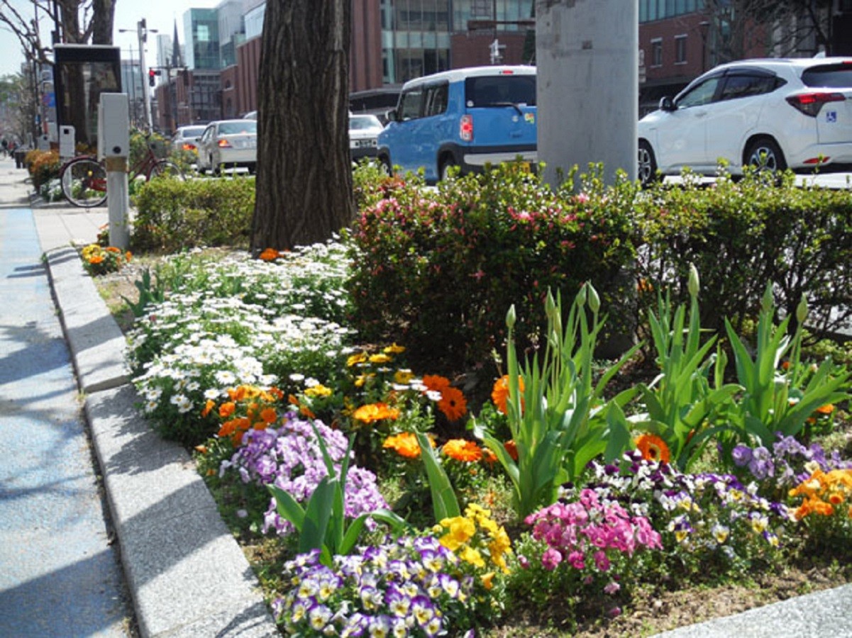 車道横の花壇